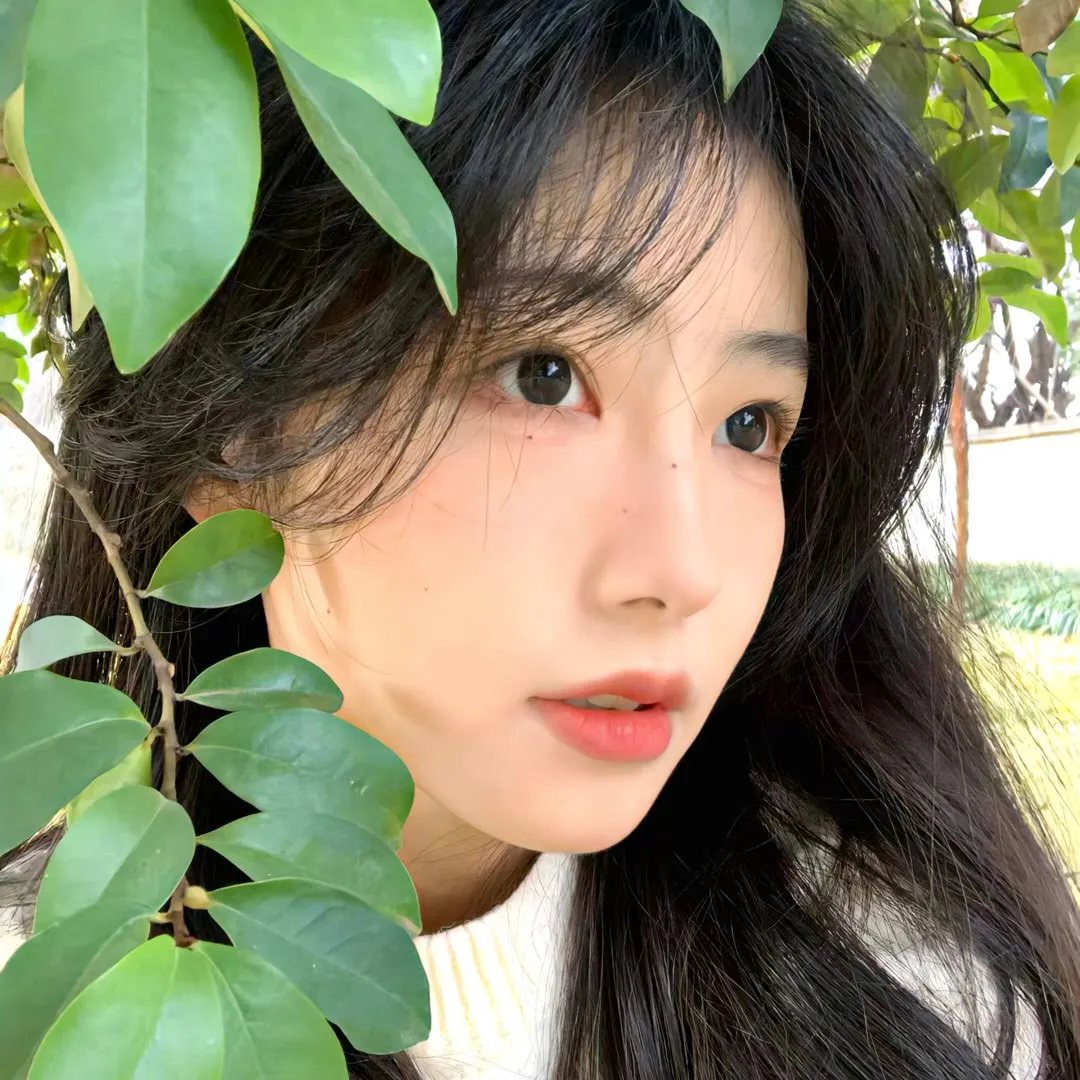 姆明山谷 第二季
